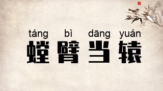 螳臂当辕