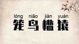 笼鸟槛猿
