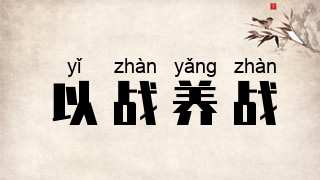 以战养战