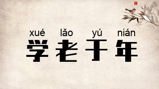 学老于年