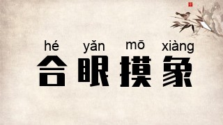 合眼摸象