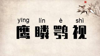 鹰瞵鹗视