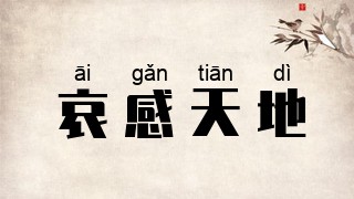 哀感天地