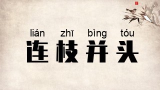 连枝并头