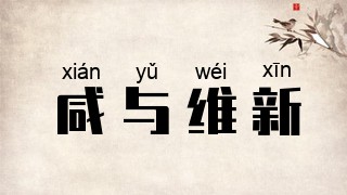咸与维新