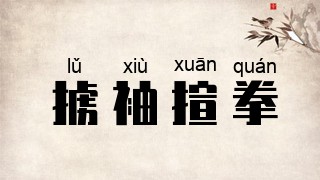 掳袖揎拳