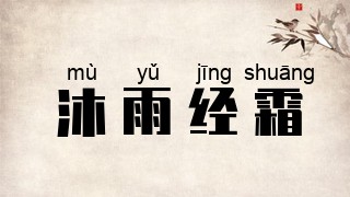 沐雨经霜