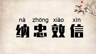 纳忠效信