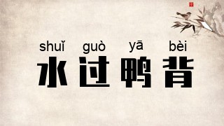 水过鸭背