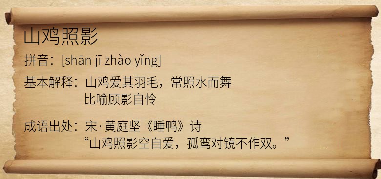 山鸡照影