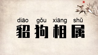 貂狗相属