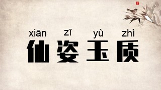 仙姿玉质