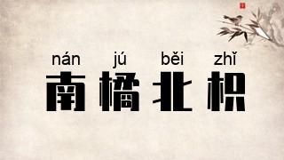 南橘北枳