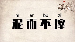 泥而不滓