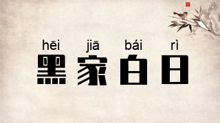 黑家白日