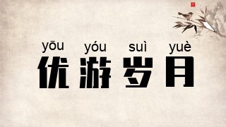 优游岁月