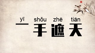 一手遮天