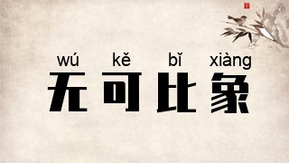 无可比象