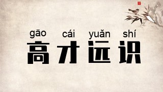 高才远识