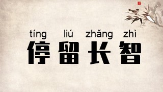 停留长智
