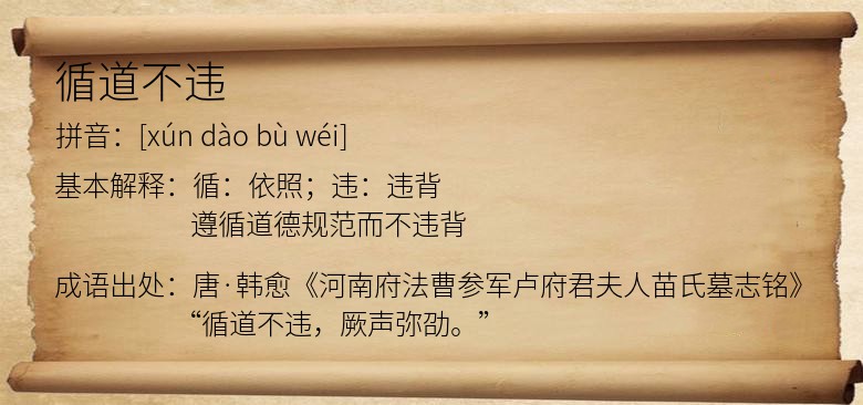 循道不违