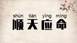 顺天应命