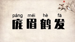 庞眉鹤发