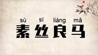 素丝良马