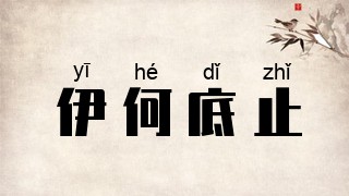 伊何底止