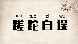蹉跎自误