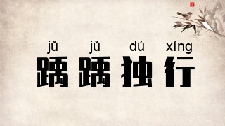踽踽独行