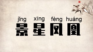 景星凤凰