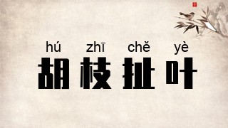 胡枝扯叶