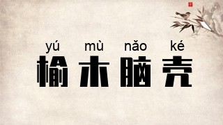 榆木脑壳