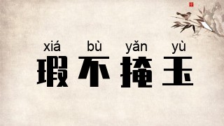 瑕不掩玉