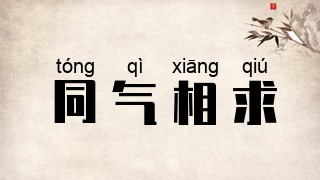 同气相求