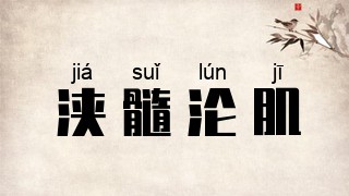 浃髓沦肌