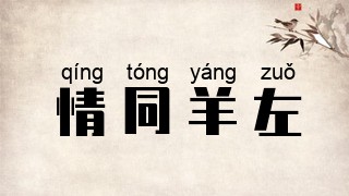 情同羊左