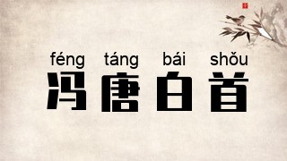 冯唐白首