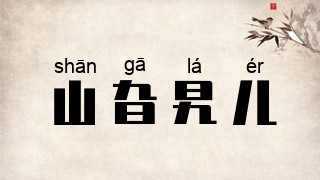 山旮旯儿