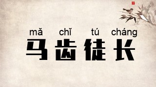 马齿徒长