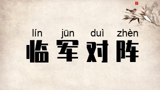 临军对阵