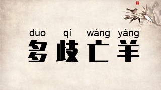 多歧亡羊