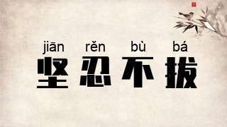 坚忍不拔