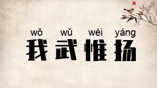 我武惟扬