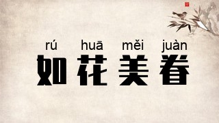 如花美眷