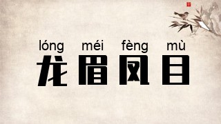 龙眉凤目