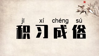 积习成俗