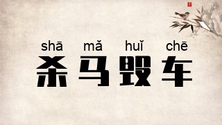 杀马毁车